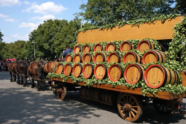 Alus mucas - Līgo kartiņa 9