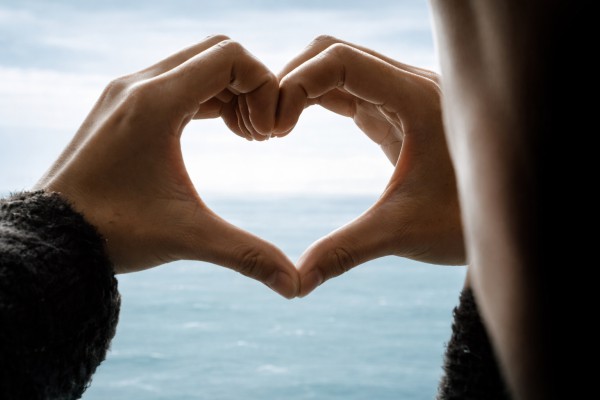 Sirds - Romantiskas kartiņa 13