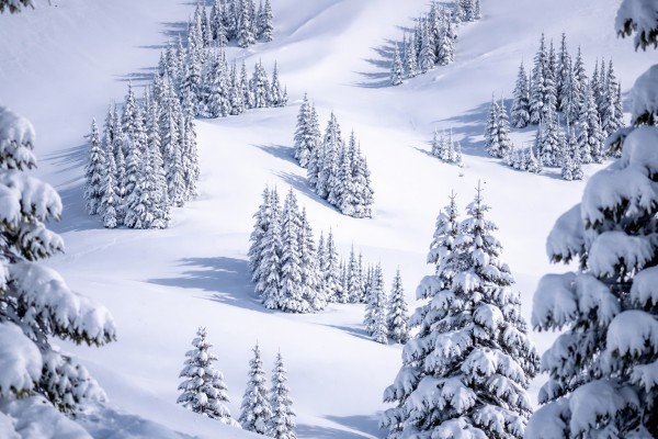 Kalni ziemā - Ziemas kartiņa 4