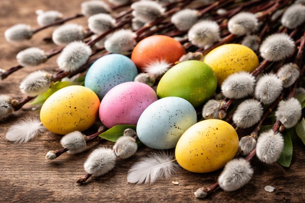 Lieldienu olas un pūpoli - Lieldienu kartiņa 9