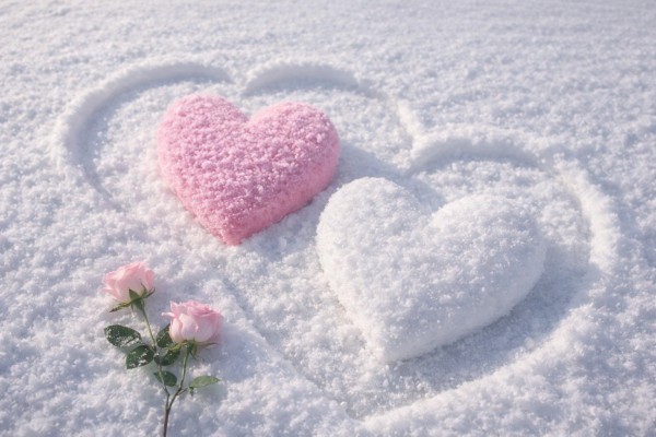 Sirdis sniegā un roze - Ziemas kartiņa 14